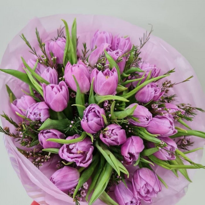 Букет «25 фиолетовых пионовидных тюльпанов»