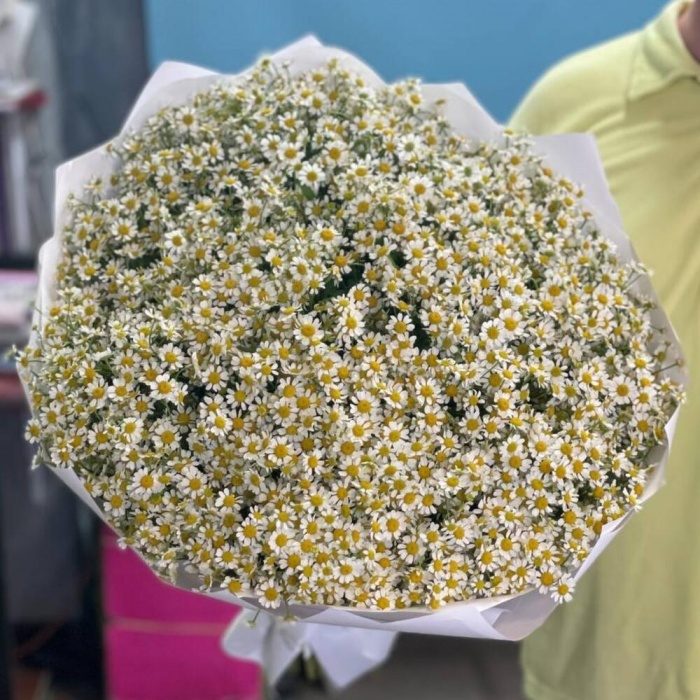 Букет из 51 ромашки, фото 5